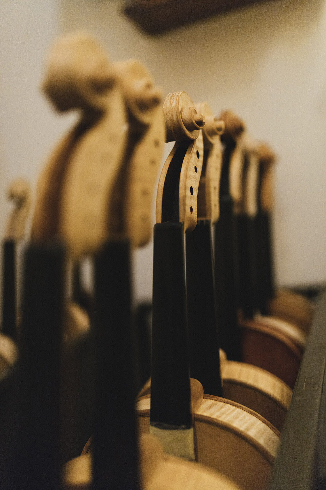Violins shown at the atelier